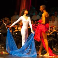 Du chaos à la lumière - 2007 (4)